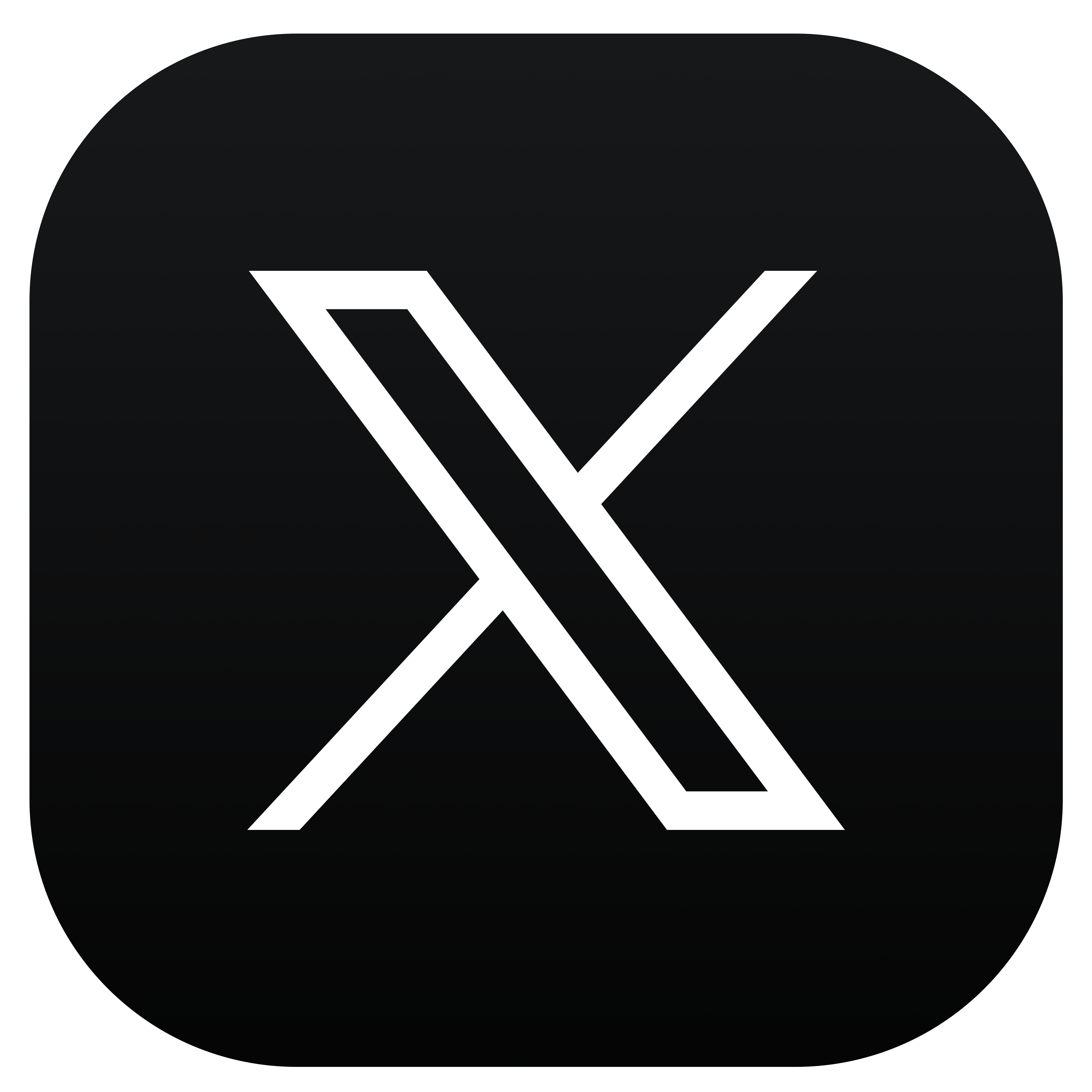 X Icon